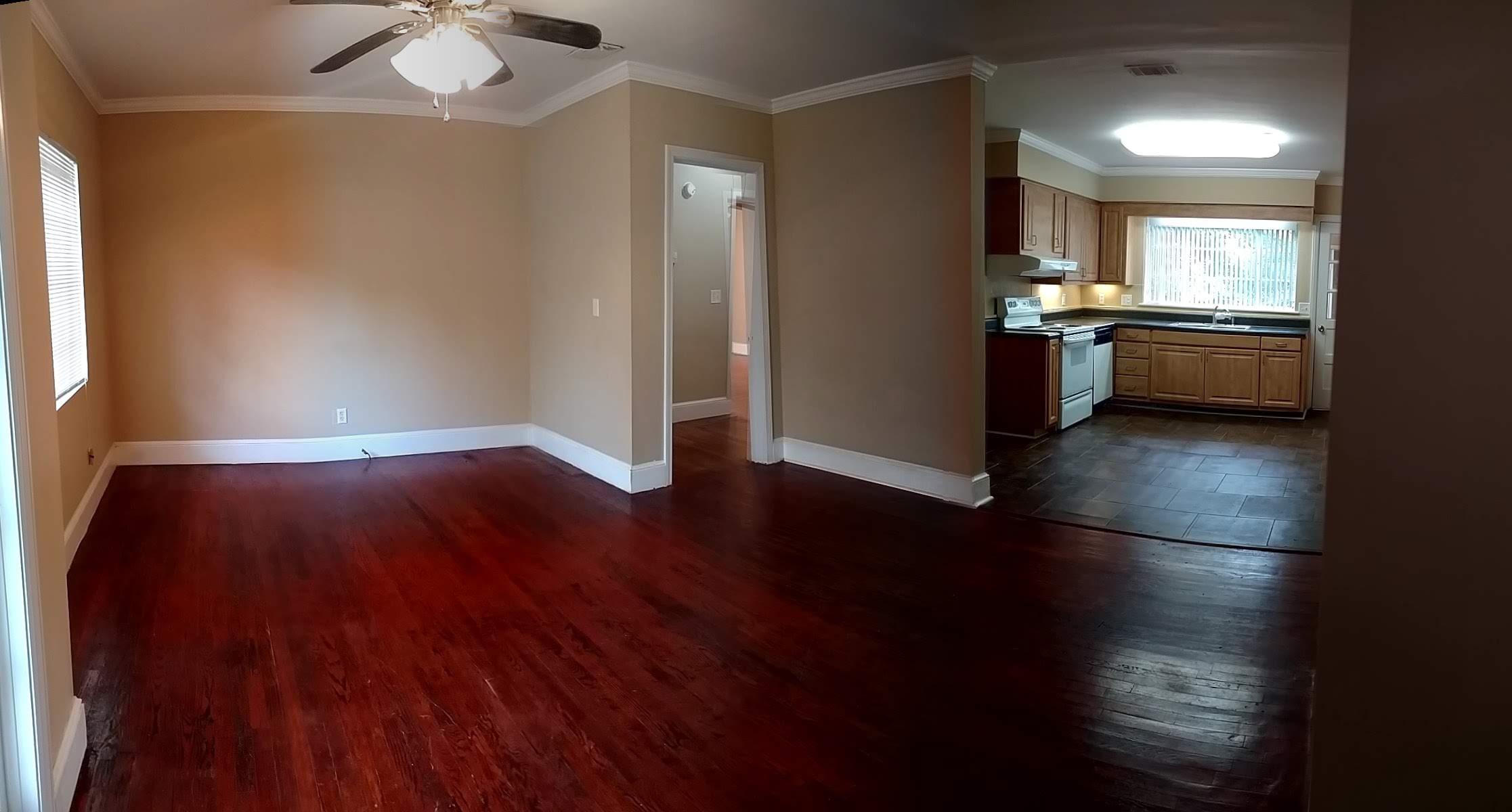 Living room and kitchen